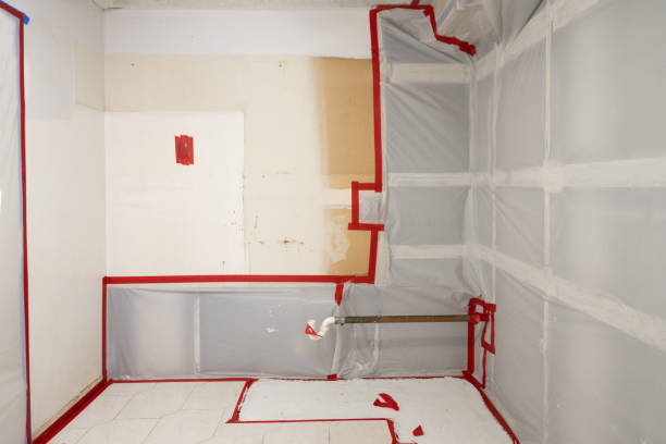 Best Mold Odor Removal Services  in St Charles, MO